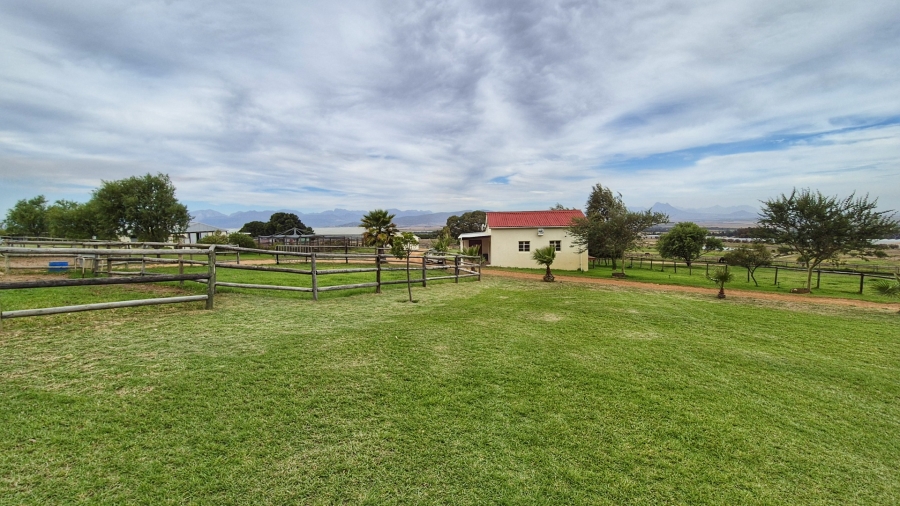 To Let 0 Bedroom Property for Rent in Paarl Rural Western Cape